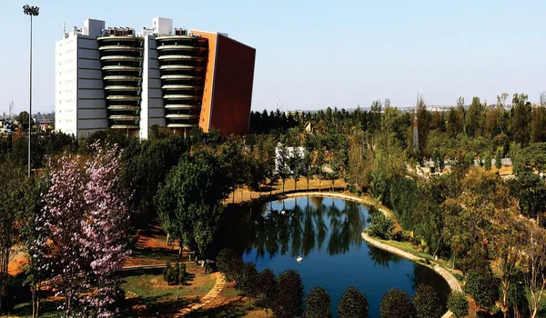 Featured Image of Beary's Global Research Triangle